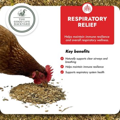 Image showing  Respiratory Relief, Spice Blend