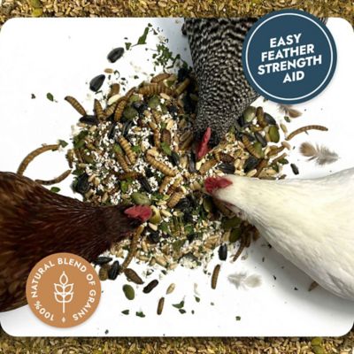 Image showing 8 th Hatching Time Feather And Shell, Calci Protein Blend, 2 lb. Pouch