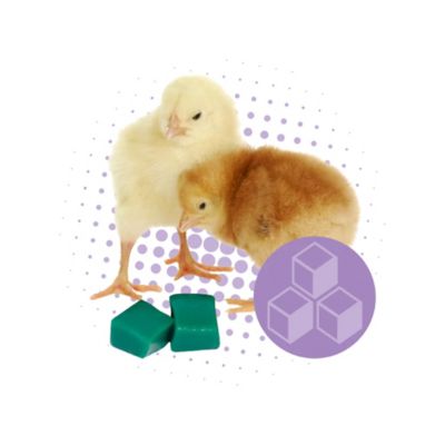 Image showing  Grogel Chick Hydration, 1 pk.