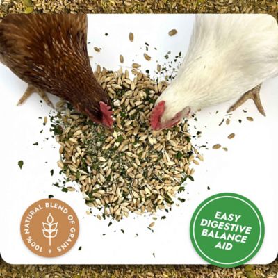 Image showing 9 th Hatching Time Digest and Detox, Gut Health Blend, 1 lb. Pouch