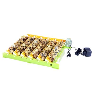 Image showing  Quail Egg Rack Attaches To Conturn Egg Setter, 24 pk. for CT120SH Incubator