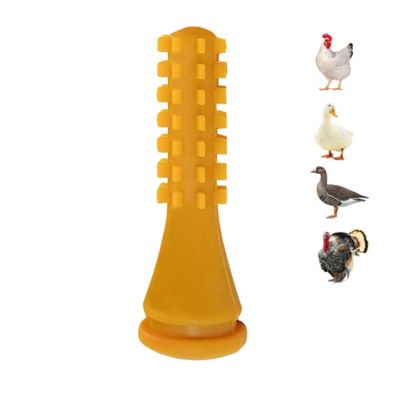 Hatching Time Natural Rubber Chicken Plucking Fingers ProA, 50 pk.
