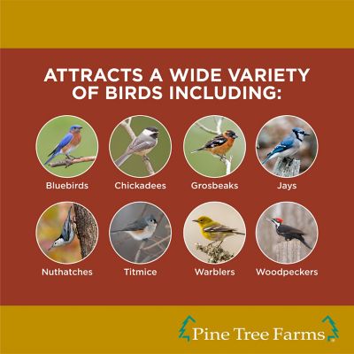 Image showing 3 th Pine Tree Farms Peanut Butter Suet Cakes for Wild Birds 12 oz., Pack of 12