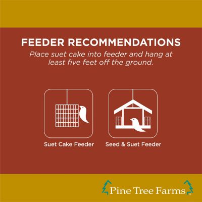 Image showing 4 th Pine Tree Farms Peanut Butter Suet Cakes for Wild Birds 12 oz., Pack of 12