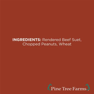 Image showing 5 th Pine Tree Farms Peanut Butter Suet Cakes for Wild Birds 12 oz., Pack of 12