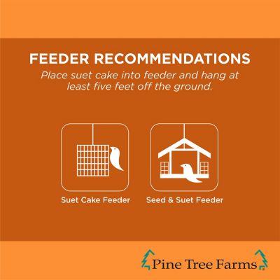 Image showing  Insect Suet Cakes for Wild Birds 12 oz. (Pack of 12)