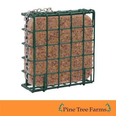 Image showing 5 th Pine Tree Farms Insect Suet Cakes for Wild Birds 12 oz. (Pack of 12)