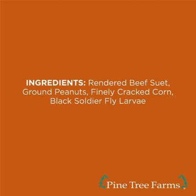 Image showing 6 th Pine Tree Farms Insect Suet Cakes for Wild Birds 12 oz. (Pack of 12)