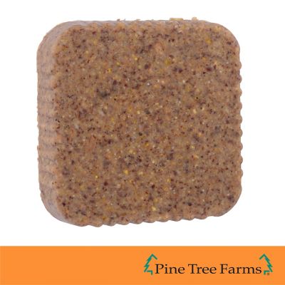 Image showing 7 th Pine Tree Farms Insect Suet Cakes for Wild Birds 12 oz. (Pack of 12)