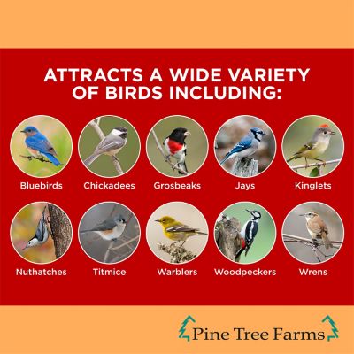 Image showing  Never Melt Hot Pepper Suet Cake for Wild Birds, No Mess Bird Suet Cakes, 12 oz., Pack of 12