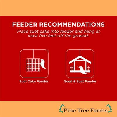 Image showing  Never Melt Hot Pepper Suet Cake for Wild Birds, No Mess Bird Suet Cakes, 12 oz., Pack of 12