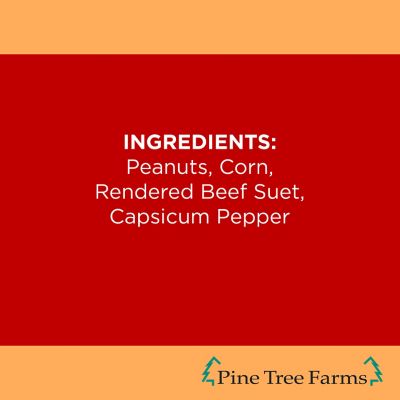 Image showing 6 th Pine Tree Farms Never Melt Hot Pepper Suet Cake for Wild Birds, No Mess Bird Suet Cakes, 12 oz., Pack of 12