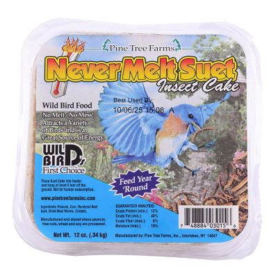 Image showing  Never Melt Insect Suet Cake for Wild Birds, No Mess Suet Cakes, 12 oz., Pack of 12