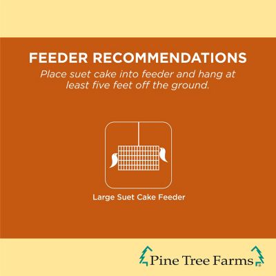 Image showing  Peanut Butter Suet Cakes for Wild Birds 3 lb., Pack of 8