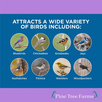 Image showing  Log Jammer Berry-n-Nut Suet Plugs for Wild Birds, Refills for Log Feeders 9.4 oz., Pack of 12