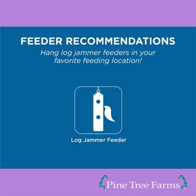 Image showing  Log Jammer Berry-n-Nut Suet Plugs for Wild Birds, Refills for Log Feeders 9.4 oz., Pack of 12