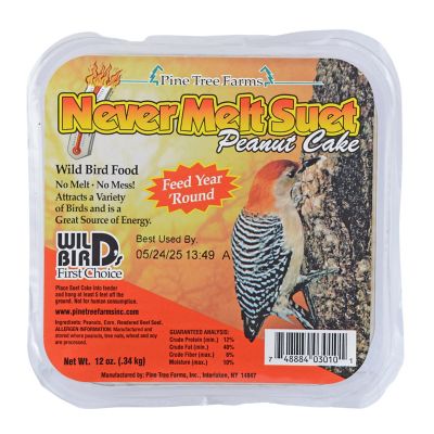 Image showing  Never Melt Peanut Suet Cake for Wild Birds, No Mess Bird Suet Cakes, 12 oz., Pack of 12