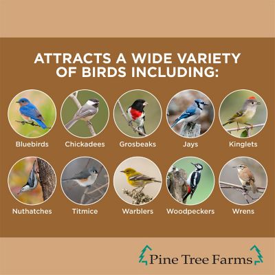 Image showing  Never Melt Peanut Suet Cake for Wild Birds, No Mess Bird Suet Cakes, 12 oz., Pack of 12