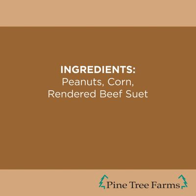 Image showing 6 th Pine Tree Farms Never Melt Peanut Suet Cake for Wild Birds, No Mess Bird Suet Cakes, 12 oz., Pack of 12