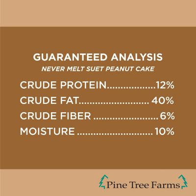 Image showing 7 th Pine Tree Farms Never Melt Peanut Suet Cake for Wild Birds, No Mess Bird Suet Cakes, 12 oz., Pack of 12