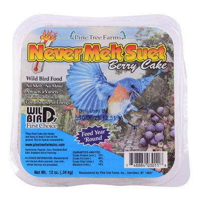 Image showing  Never Melt Berry Suet Cakes for Wild Birds, No Mess Bird Suet Cakes, 12 oz., Pack of 12