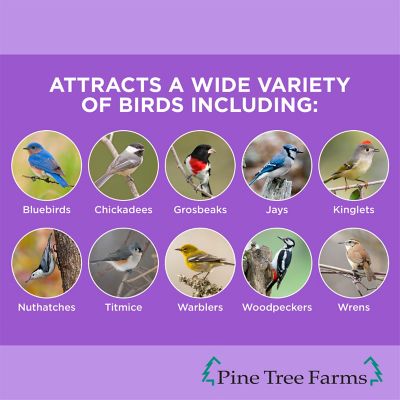 Image showing  Never Melt Berry Suet Cakes for Wild Birds, No Mess Bird Suet Cakes, 12 oz., Pack of 12