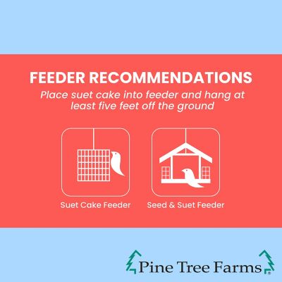 Image showing  Hi Energy Suet Cakes for Wild Birds 12 oz., Pack of 12