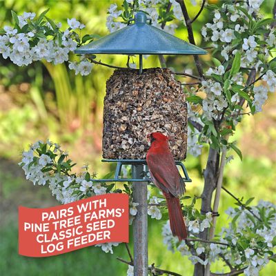 Image showing  Woodpecker Classic Wild Bird Seed Log, Gourmet Bird Food 36 oz., Pack of 3