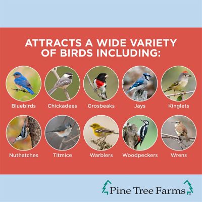 Image showing  Woodpecker Classic Wild Bird Seed Log, Gourmet Bird Food 36 oz., Pack of 3