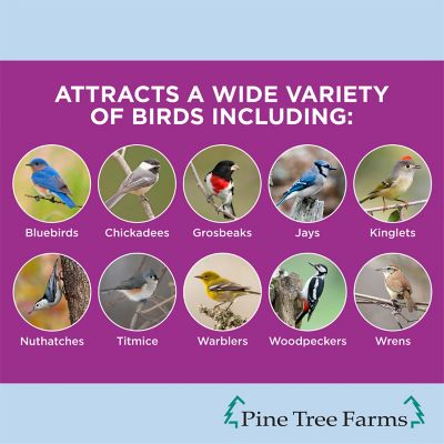 Image showing  FruitBerry Nut Classic Seed Logs for Wild Birds, 28 oz., 3 pk.