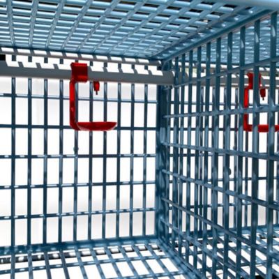 Image showing 5 th Hatching Time Comfortplast Chicken Cage, 1 Layer H 15 in., 3 Section Per Layer