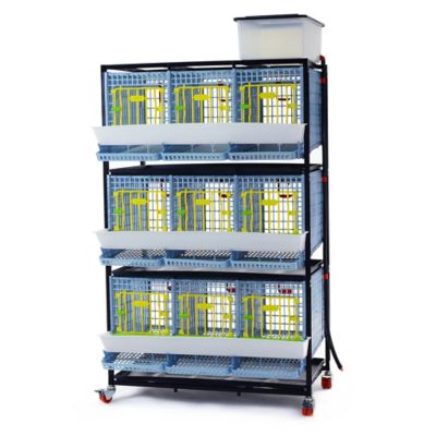 Hatching Time Comfortplast Partridge Cage, 3 Layer, 3 Section Per Layer