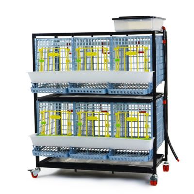 Hatching Time Comfortplast Chicken Cage, 2 Layer H 15 in., 3 Section Per Layer