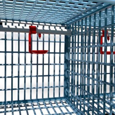 Image showing 6 th Hatching Time Comfortplast Chicken Cage, 2 Layer H 15 in., 3 Section Per Layer