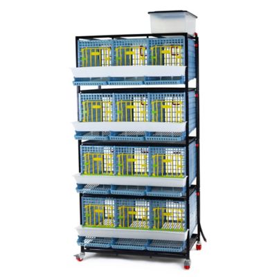 Hatching Time Comfortplast Partridge Cage, 4 Layer, 3 Section Per Layer