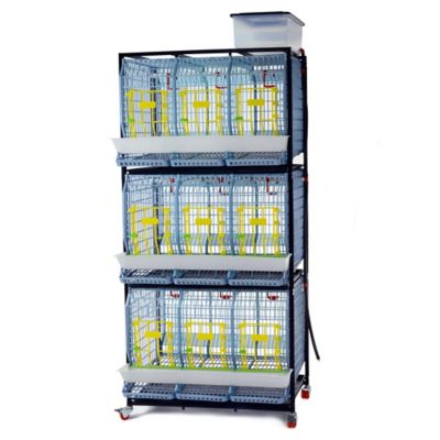 Hatching Time Comfortplast Chicken Cage, 3 Layer H 22 in., 3 Section Per Layer