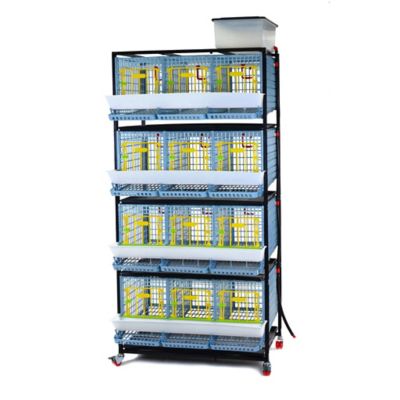 Hatching Time Comfortplast Chicken Cage, 4 Layer H 15 in., 3 Section Per Layer