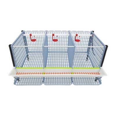 Image showing  Comfortplast Chicken Cage, 4 Layer H 15 in., 3 Section Per Layer