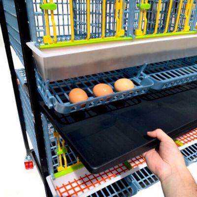 Image showing  Comfortplast Chicken Cage, 4 Layer H 15 in., 3 Section Per Layer