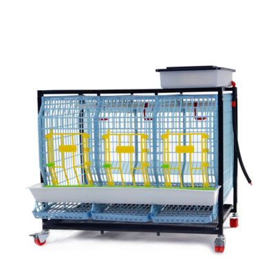 Hatching Time Comfortplast Chicken Cage, 1 Layer H 22 in., 3 Section Per Layer