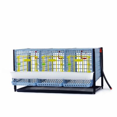 Hatching Time Comfortplast Chicken Cage, Layer Addition H 15 in., 3 Section Per Layer
