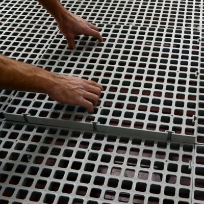 Image showing 5 th Hatching Time Slat Flooring Large Hole, Medium Legs, 1 pk.