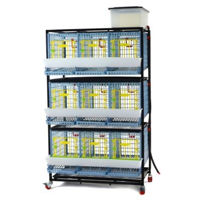 Hatching Time Comfortplast Chicken Cage, 3 Layer H 15 in., 3 Section Per Layer