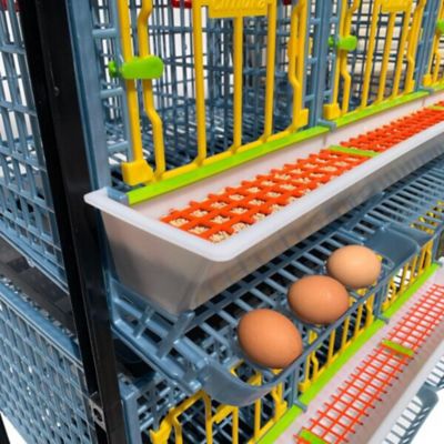 Image showing 4 th Hatching Time Comfortplast Chicken Cage, 3 Layer H 15 in., 3 Section Per Layer