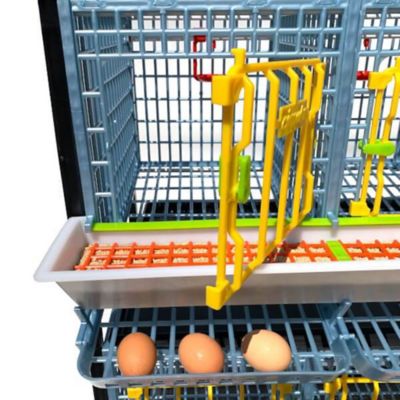 Image showing 5 th Hatching Time Comfortplast Chicken Cage, 3 Layer H 15 in., 3 Section Per Layer