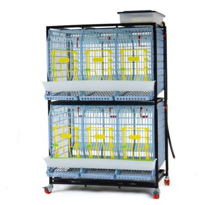 Hatching Time Comfortplast Chicken Cage, 2 Layer H 22 in., 3 Section Per Layer