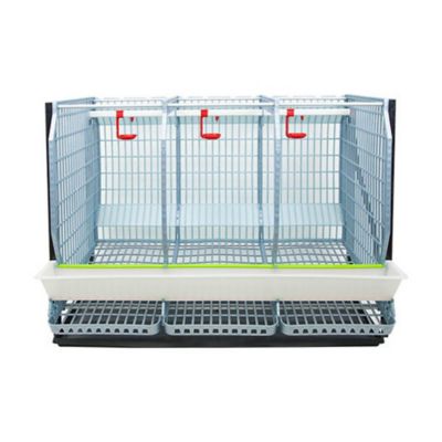 Image showing  Comfortplast Chicken Cage, 2 Layer H 22 in., 3 Section Per Layer
