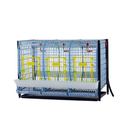 Hatching Time Comfortplast Chicken Cage, Layer Addition H 22 in., 3 Section Per Layer