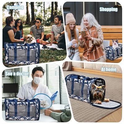 Image showing 6 th GOOPAWS Soft-Sided Airline-Approved Travel Dog & Cat Carrier, 19 in., PTC-1911BWF