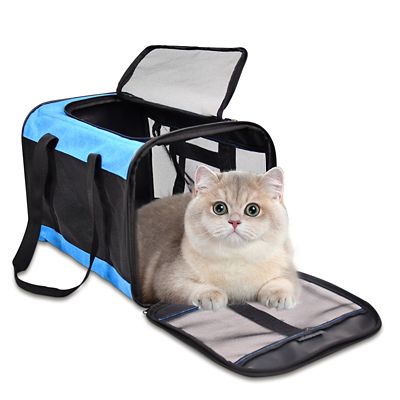 GOOPAWS Soft-Sided Airline Approved Bag Cat Carrier, 17 in., Turquoise